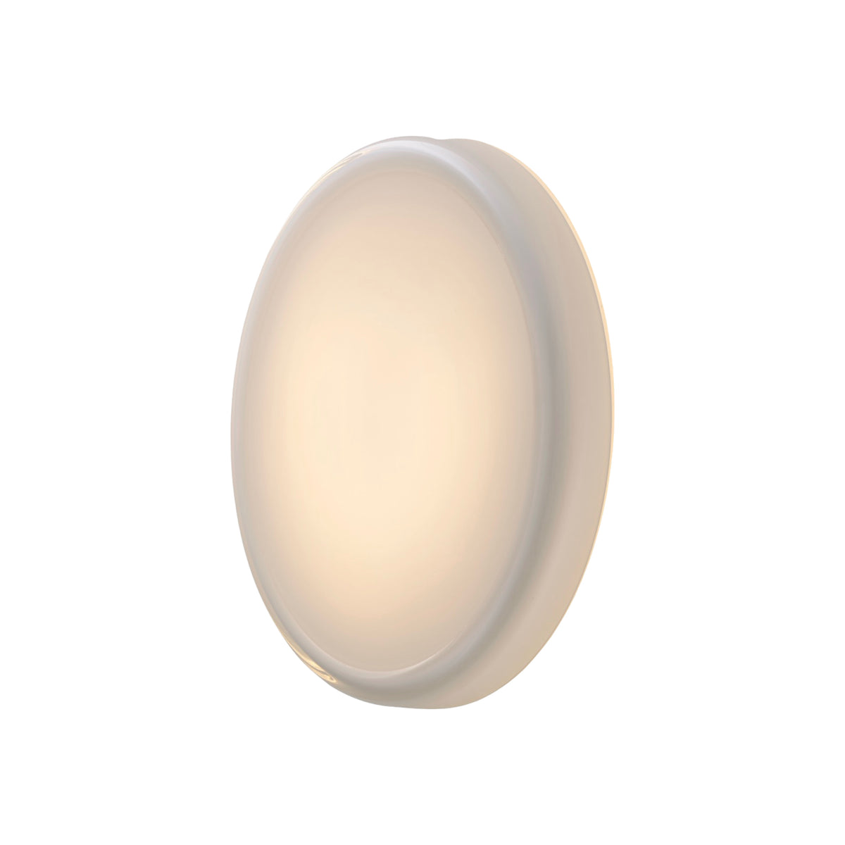 Muuto Looped Wall/Ceiling Lamp