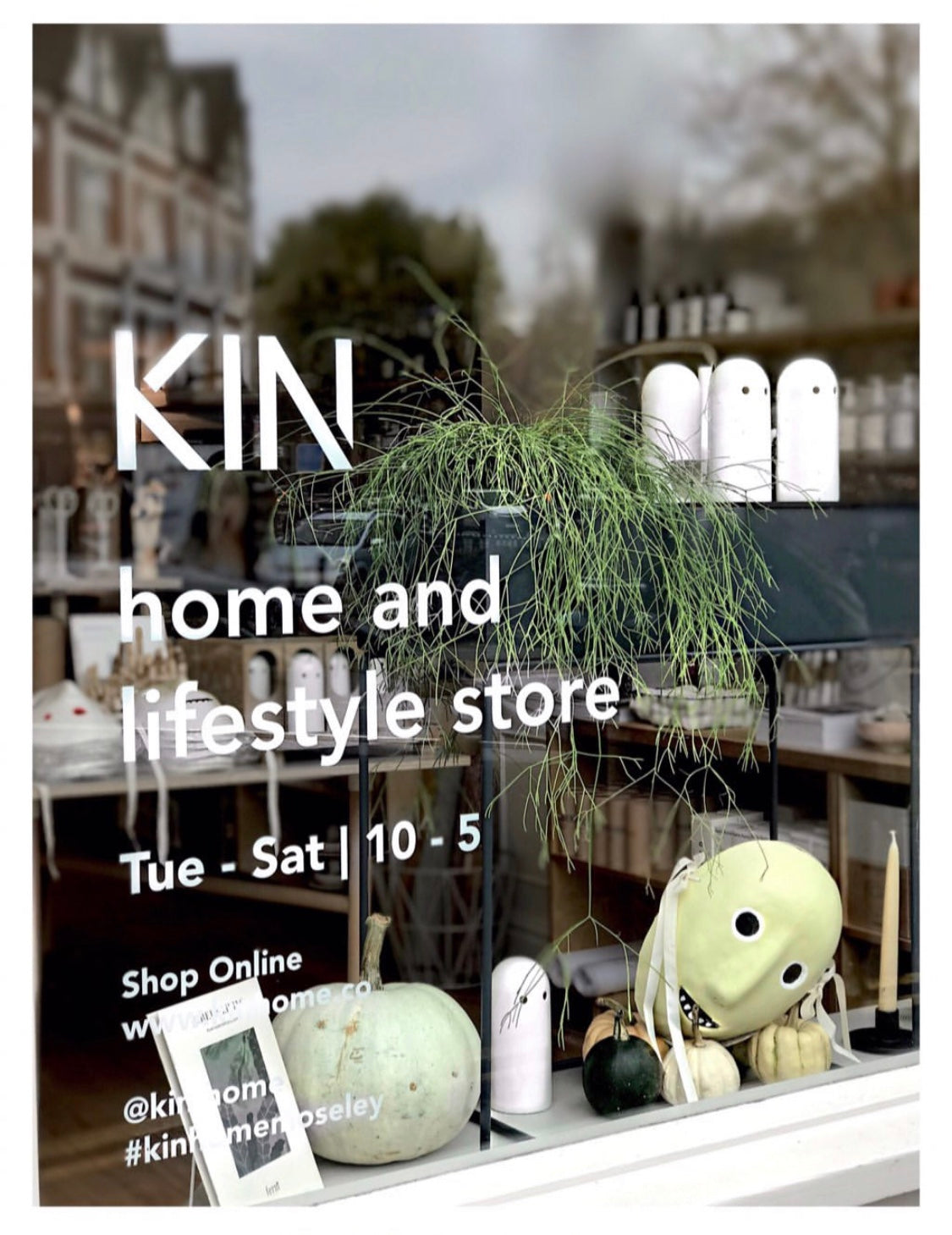 KIN Halloween Window